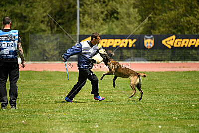 Black Jack vom Heldenkreuz