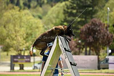 Black Jack vom Heldenkreuz