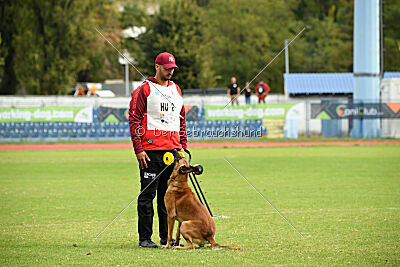 Black Mask Siculium Bredd