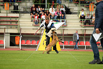 Blade vom Gessiner Land