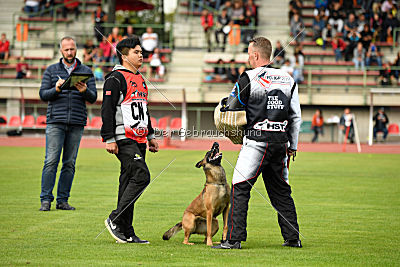 Blade vom Gessiner Land