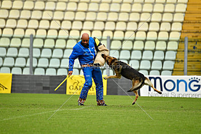 Blixtrasport's Astor