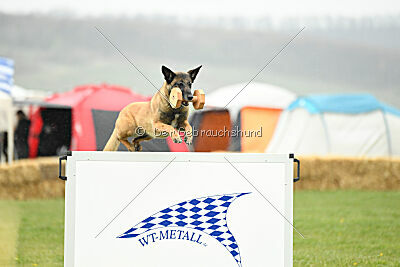 Blöf vom puren Leben