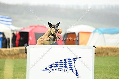 Blöf vom puren Leben