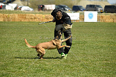 Blöf vom puren Leben