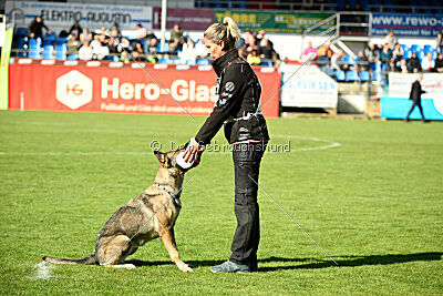 Blondy von Starker Wille