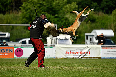 Blues vom Haus Mecki