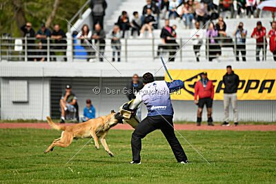 Bob Marley Is Always Crazy