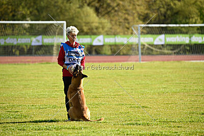 Bob Marley Is Always Crazy