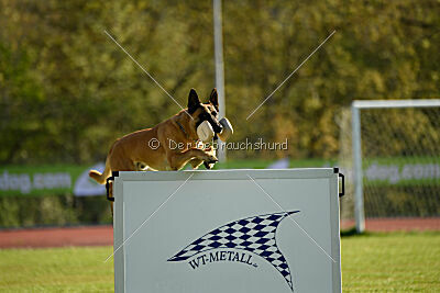 Bob Marley Is Always Crazy