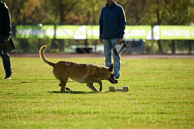 Bob Marley Is Always Crazy