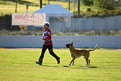 Bob Marley Is Always Crazy