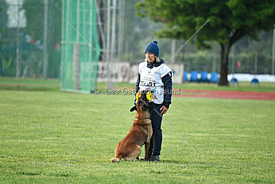 Bob Marley vom Puren Leben