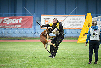 Bob Marley vom Puren Leben