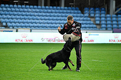 Bolle vom Drachenwolf