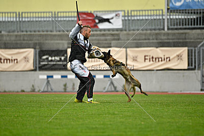 Bolt van Kluggenheim