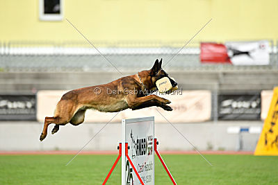 Bolt van Kluggenheim