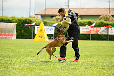 Bomba del Tiempo de Fontemordant