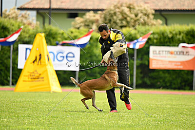 Bomba del Tiempo de Fontemordant