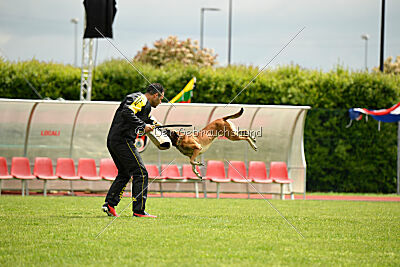 Bomba del Tiempo de Fontemordant