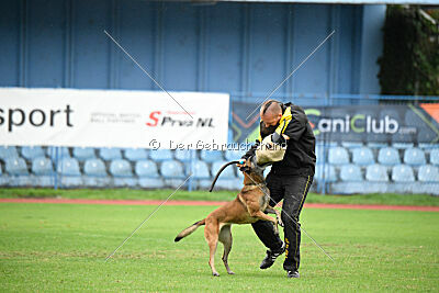 Bomba del Tiempo de Fontemordant