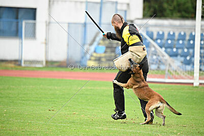 Bomba del Tiempo de Fontemordant