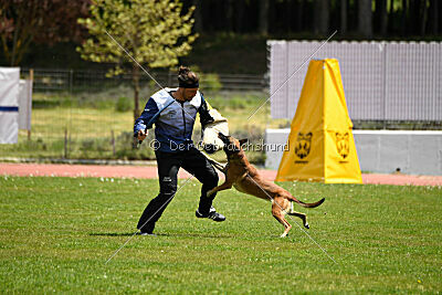 Bomba del Tiempo de Fontemordant