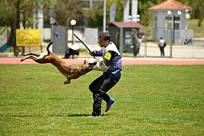 Bomba del Tiempo de Fontemordant
