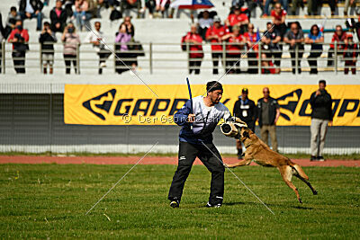 Bomra vom Giannioti Sports Dog