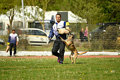 Bomra vom Giannioti Sports Dog