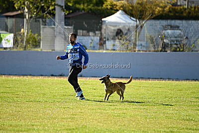 Bomra vom Giannioti Sports Dog