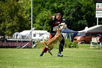 Bondage von Zamonien