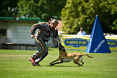 Bondage von Zamonien