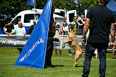 Bondage von Zamonien