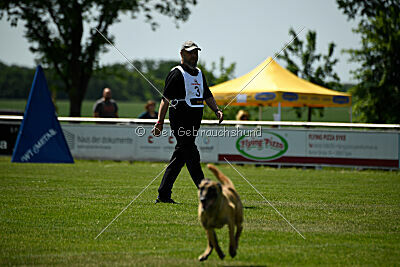 Bondage von Zamonien