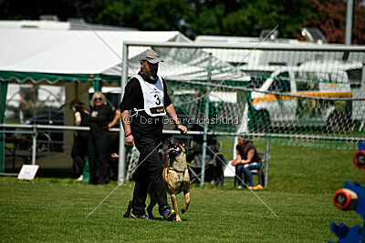 Bondage von Zamonien