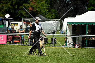 Bondage von Zamonien