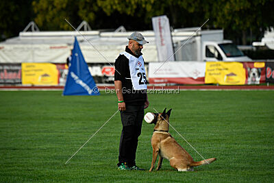 Bondage von Zamonien