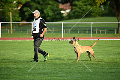 Bondage von Zamonien