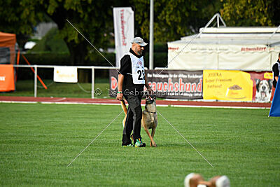 Bondage von Zamonien