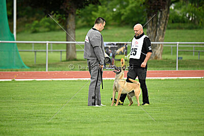 Bondage von Zamonien