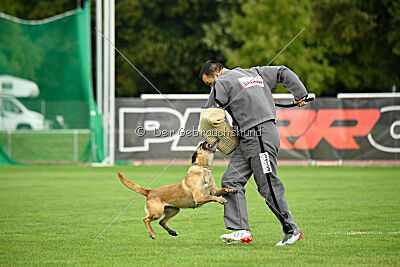 Bondage von Zamonien