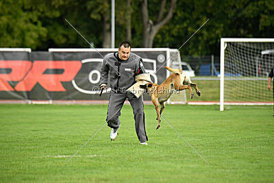 Bondage von Zamonien
