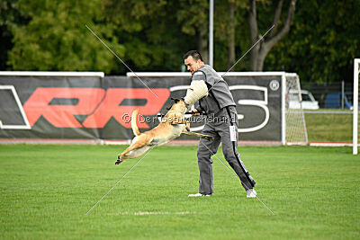 Bondage von Zamonien