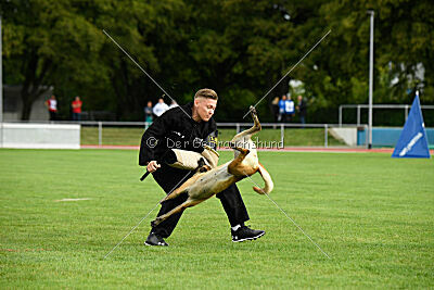 Bondage von Zamonien