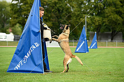 Bondage von Zamonien