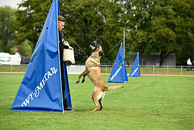 Bondage von Zamonien
