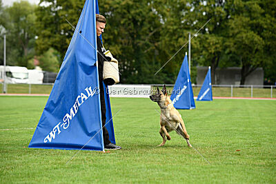 Bondage von Zamonien