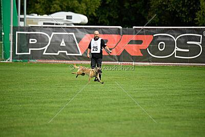 Bondage von Zamonien