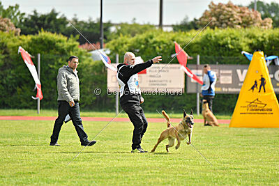 Bondage von Zamonien